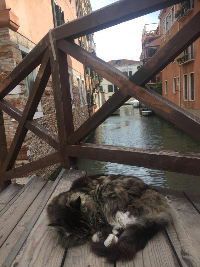 Mori 3, In Centro Storico Di Venezia Daire Dış mekan fotoğraf